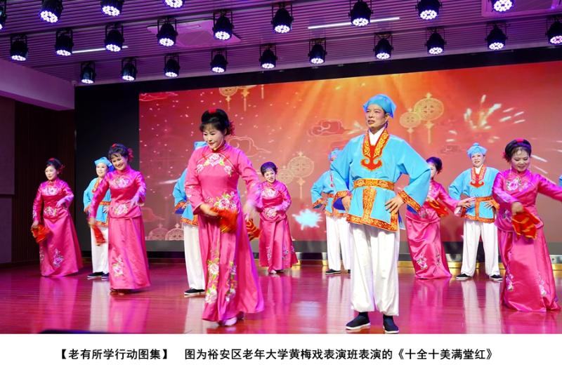 裕安区老有所学行动民生实事图集
