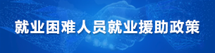 就业困难人员就业援助政策