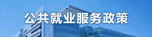 公共就业服务政策