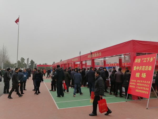 QQ图片20200103144022.jpg